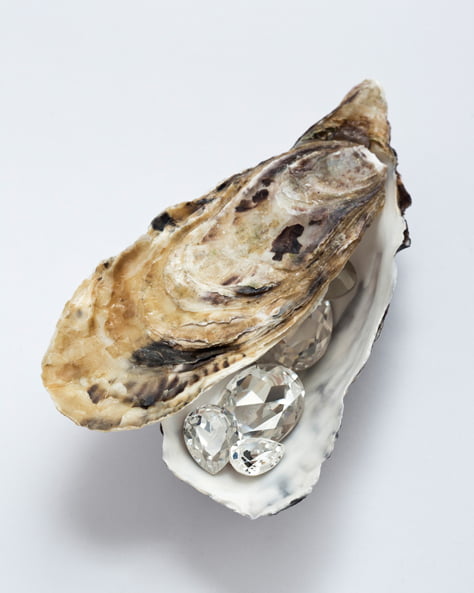 'Oyster'