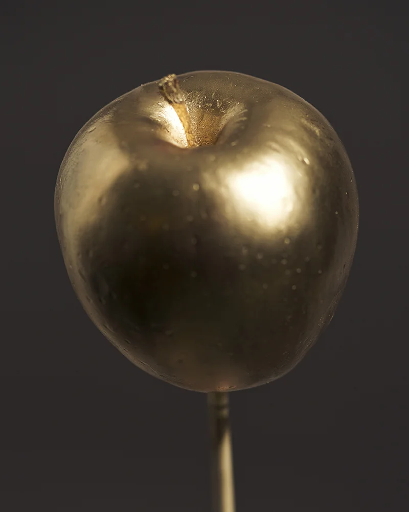 'Golden Apple' by Tami Bar-lev