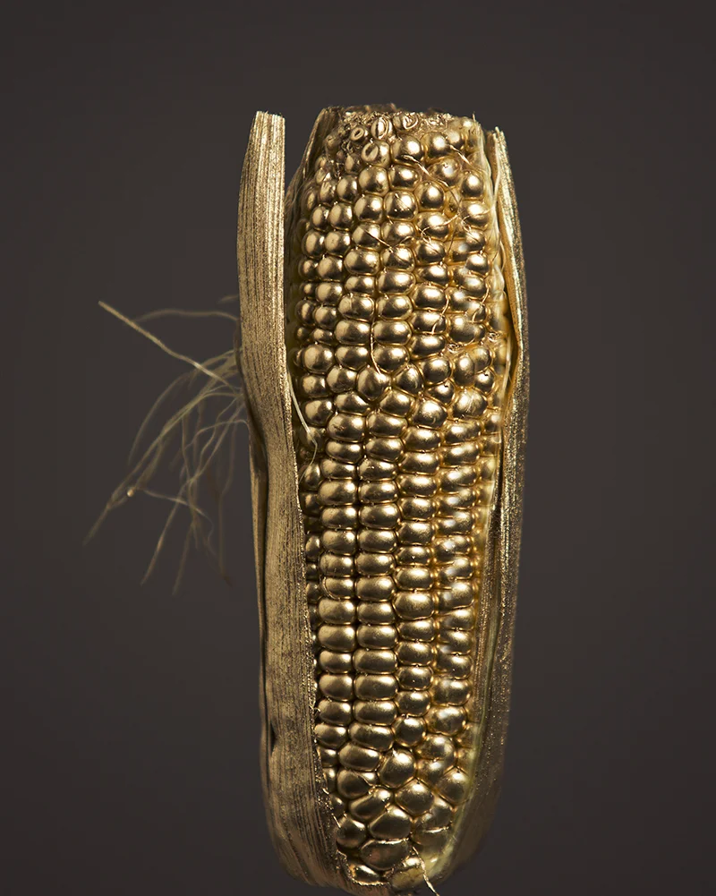 'Corn' by Tami Bar-lev